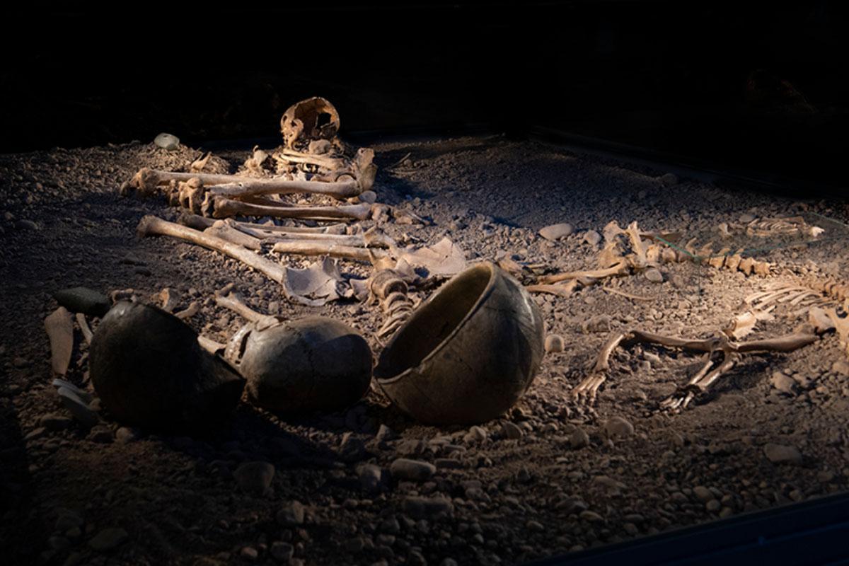 Bacterial diseases were a lethal threat during the Stone Age Bacterial diseases were a lethal threat during the Stone Age