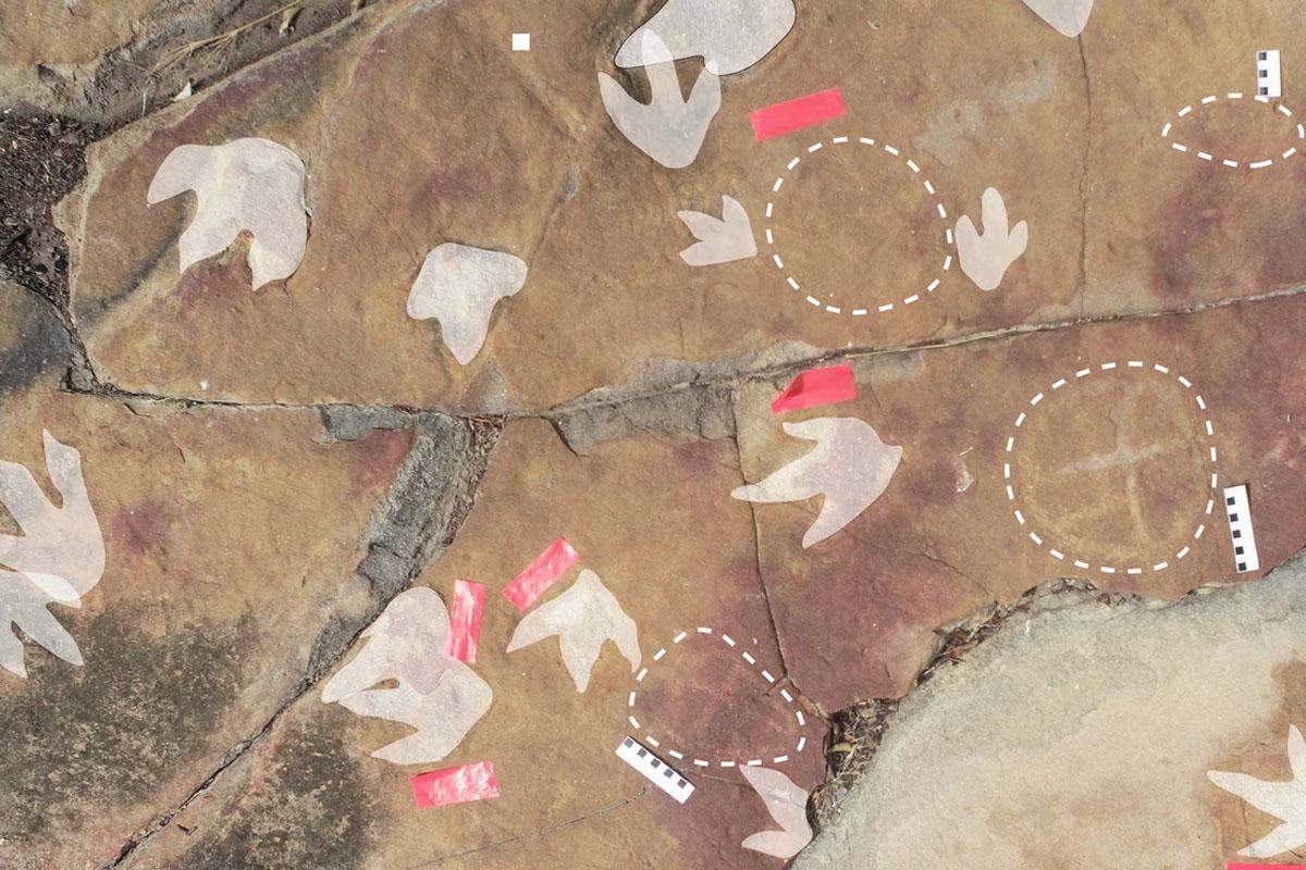 Archaeologists find an assemblage of petroglyphs alongside dinosaur tracks in Brazil