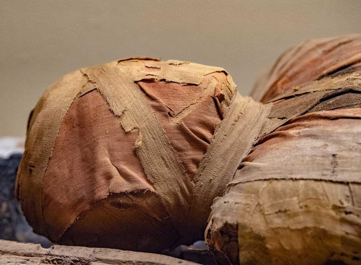 Study reveals disease landscape of Ancient Egypt Study reveals disease landscape of Ancient Egypt