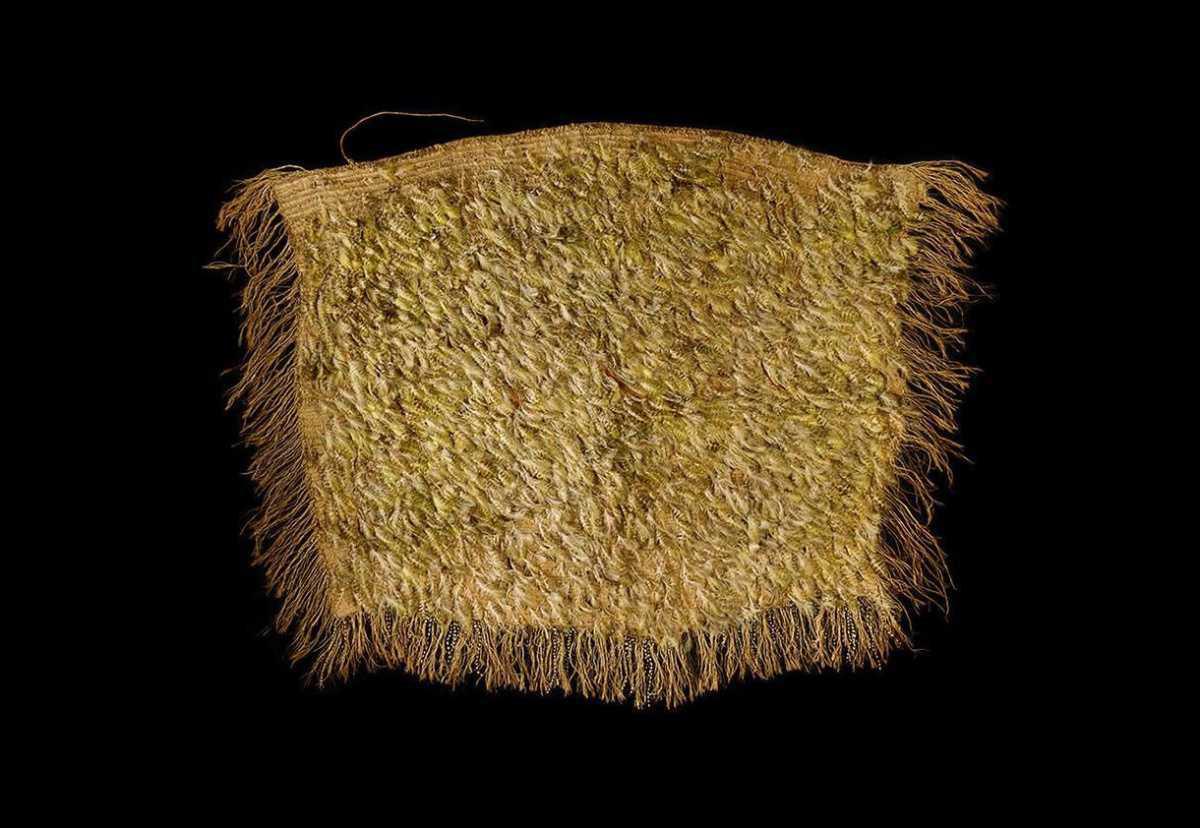 Unique Māori cloak made from kākāpō feathers goes on public display Unique Māori cloak made from kākāpō feathers goes on public display