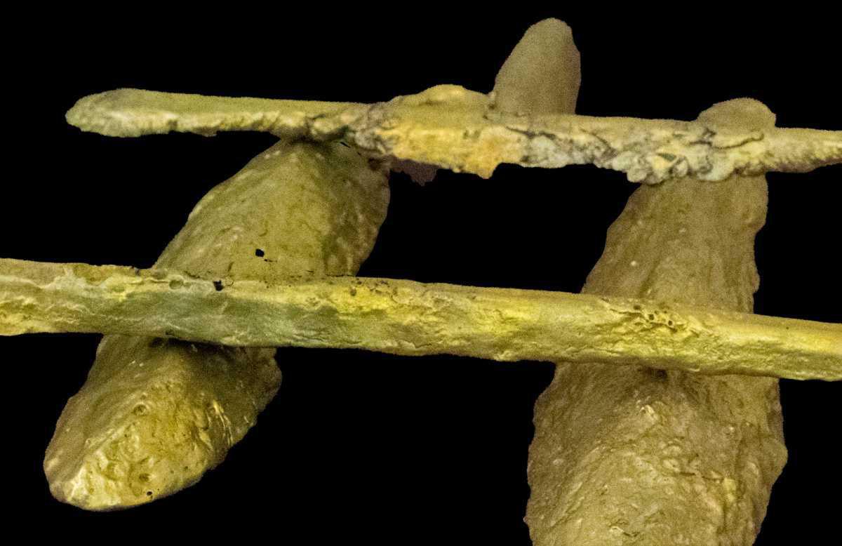 Ancient shipwreck carrying rare orichalcum to be recovered Ancient shipwreck carrying rare orichalcum to be recovered