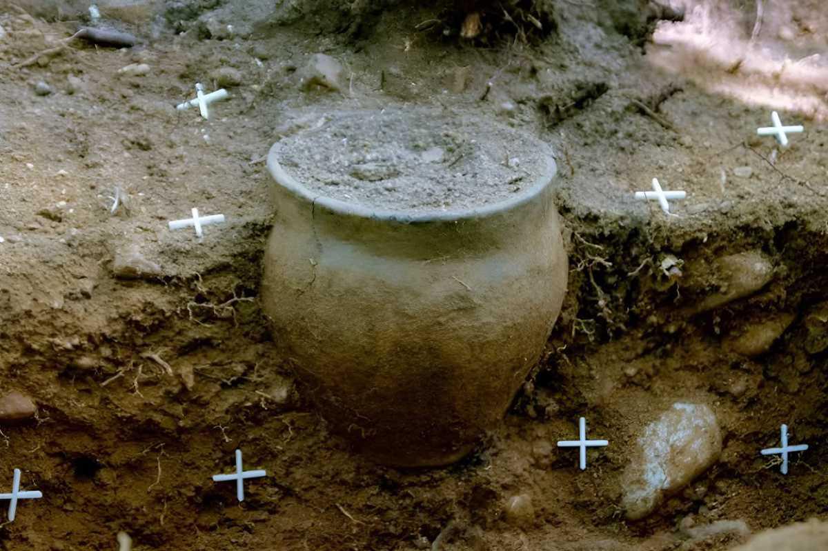 Ceramic urns discovered in Przeworsk culture cemetery