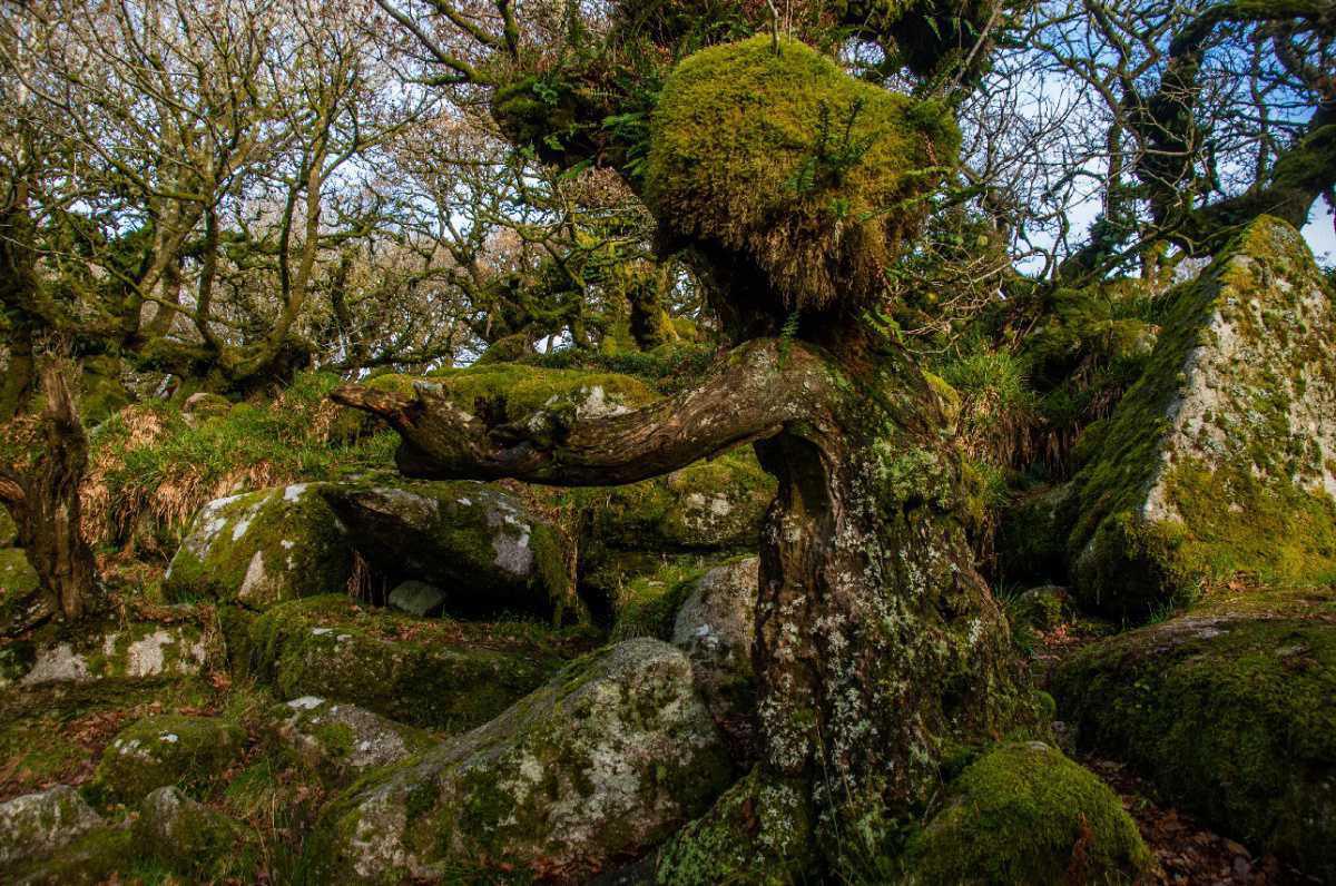 Haunted and eerie atmospheres to explore this Halloween Haunted and eerie atmospheres to explore this Halloween