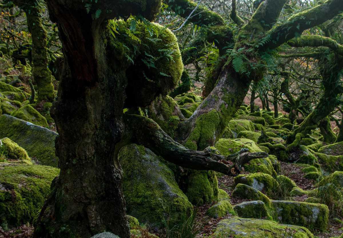 Haunted and eerie atmospheres to explore this Halloween Haunted and eerie atmospheres to explore this Halloween