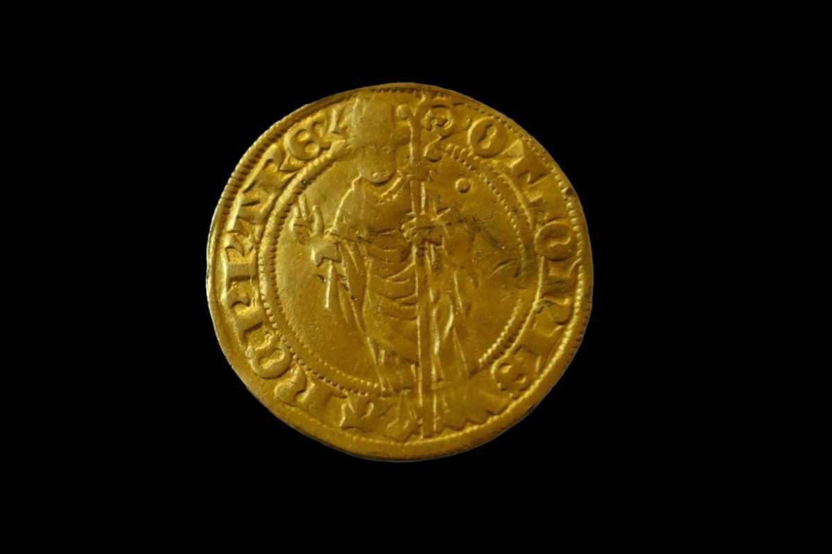 Rare gold Rhenish guilder discovered near Kamień Pomorski Rare gold Rhenish guilder discovered near Kamień Pomorski