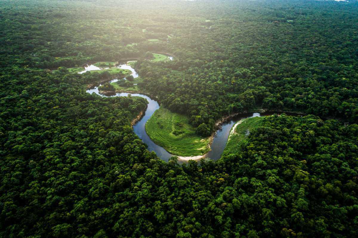 Lost colonial settlement discovered beneath Amazon rainforest Lost colonial settlement discovered beneath Amazon rainforest