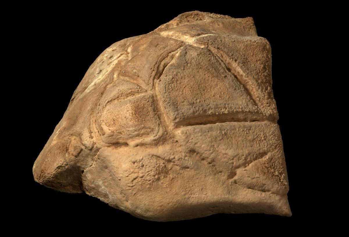 Archaeologists find evidence of ritualistic gathering in Manot Cave Archaeologists find evidence of ritualistic gathering in Manot Cave