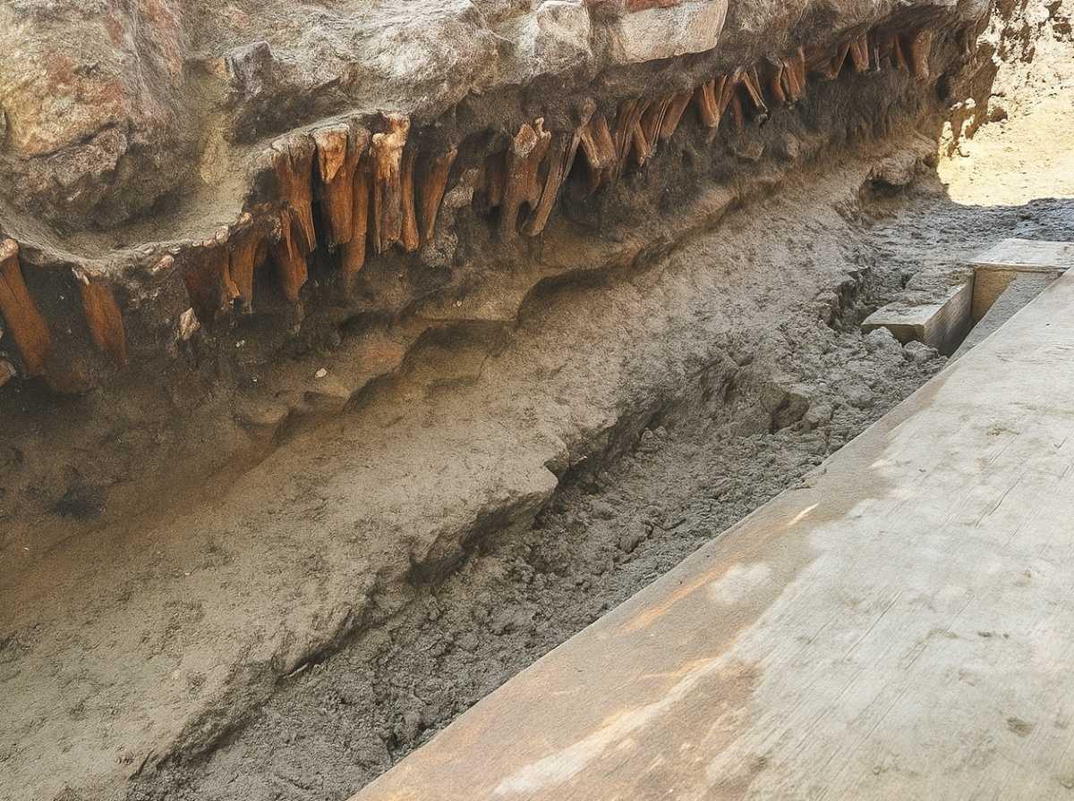 Salvage project reveals 500 years of Veracruz history