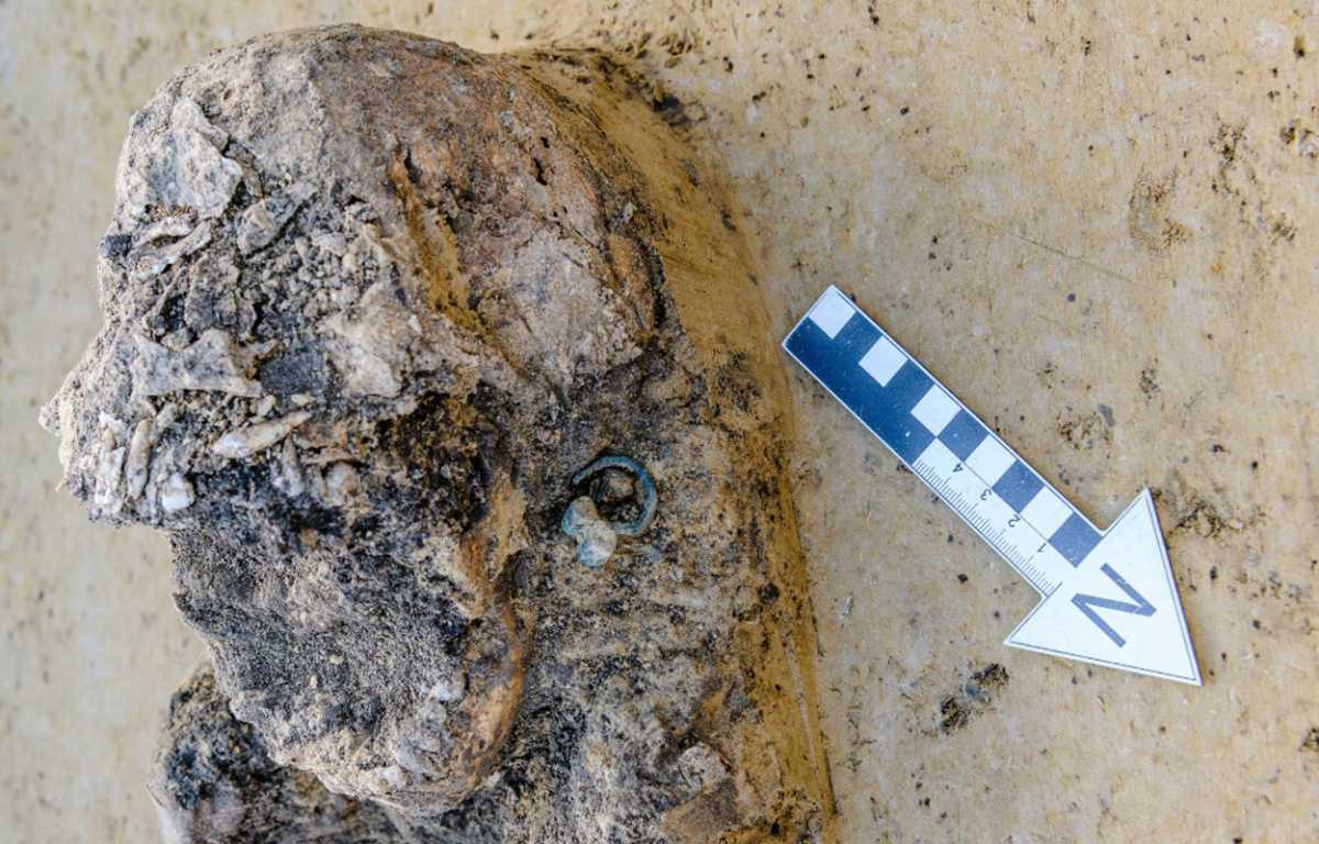 Archaeologists uncover major Slavic settlement