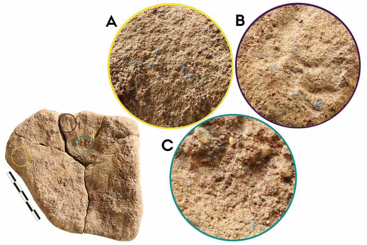 Article #1523Blue pigment found in Germany rewrites Palaeolithic history