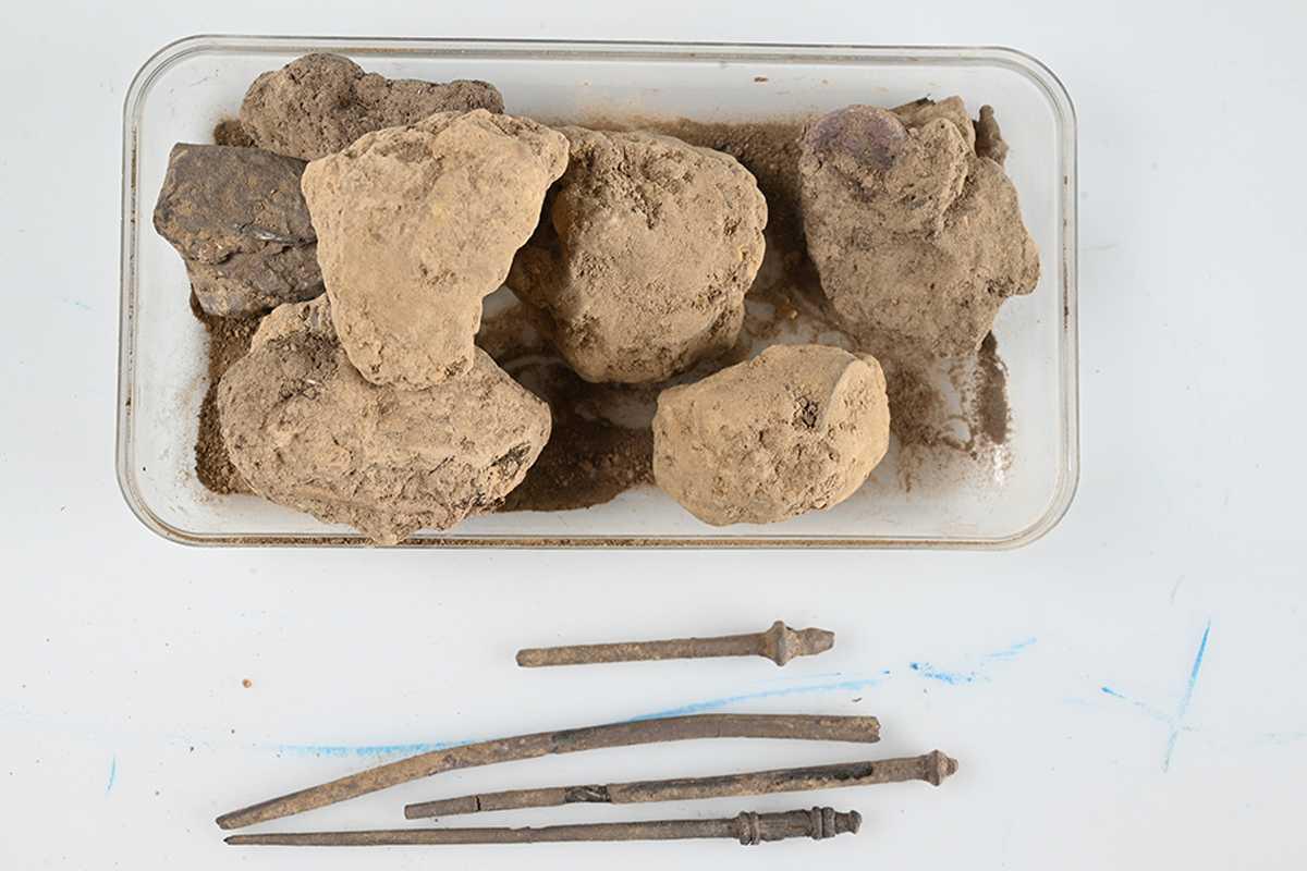 Roman silver treasure unearthed near Borsum
