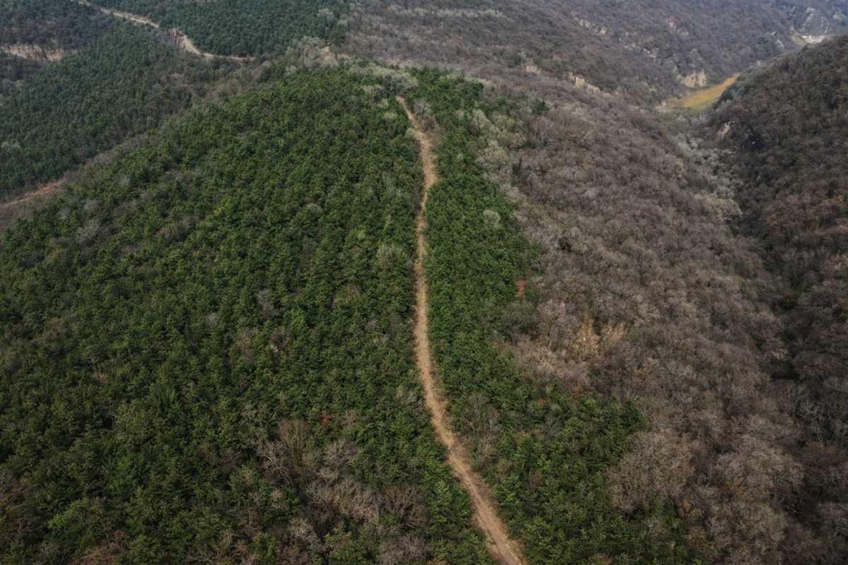 Ancient “Straight Road of Qin” segment unearthed in Shaanxi Province Ancient “Straight Road of Qin” segment unearthed in Shaanxi Province