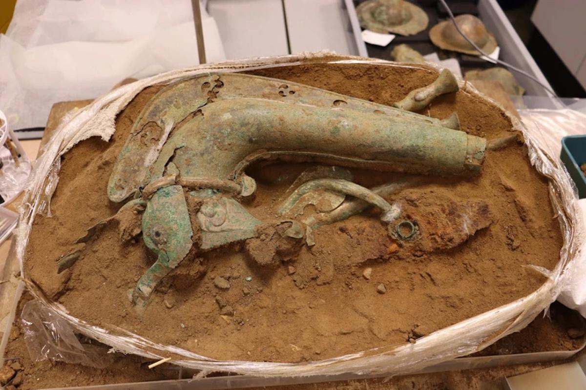 Near-complete bronze carnyx among Iron Age hoard discovery Near-complete bronze carnyx among Iron Age hoard discovery