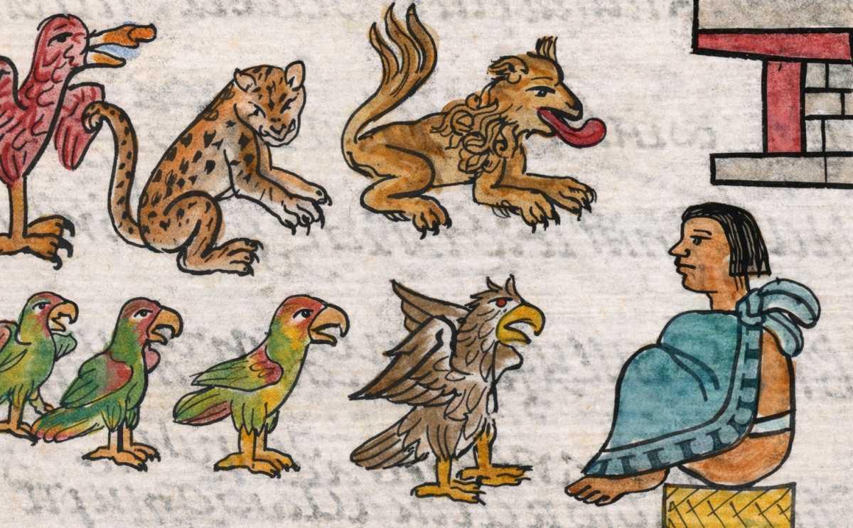 New study finds indirect evidence for existence of Moctezuma’s Zoo