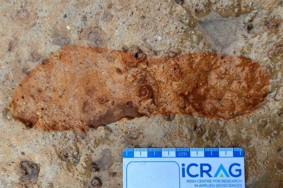 Ancient human and animal footprints discovered on Scottish beach after storms Ancient human and animal footprints discovered on Scottish beach after storms