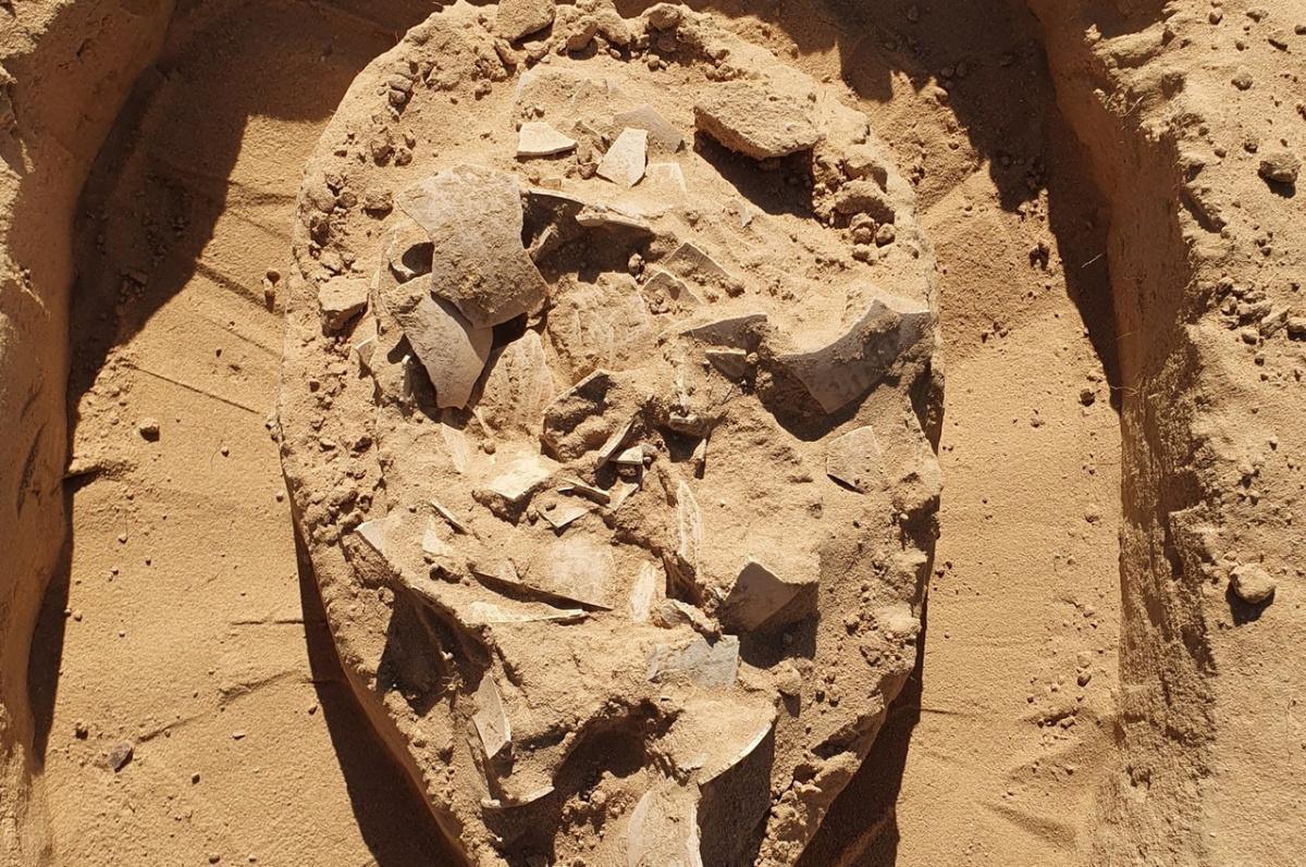 Ancient campfire in Israel reveals 7,000-year-old ostrich egg meal Ancient campfire in Israel reveals 7,000-year-old ostrich egg meal