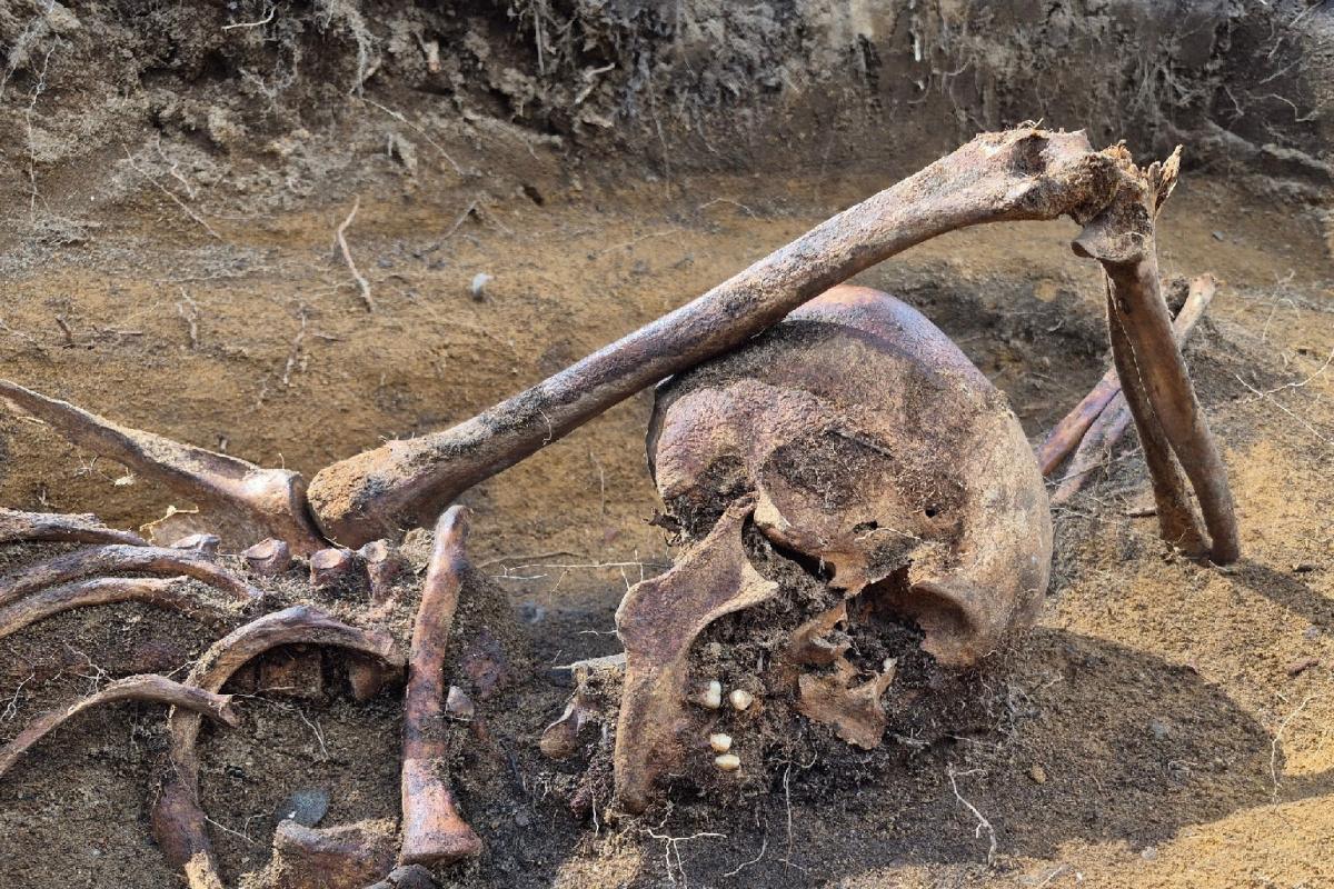 Archaeologists solve a WWII mystery near Zdanów