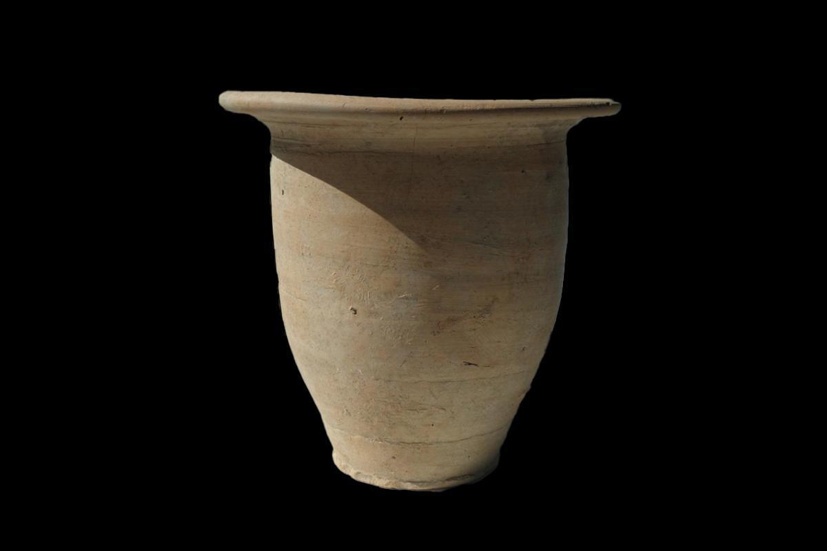 Roman chamber pots provide new evidence of intestinal parasites Roman chamber pots provide new evidence of intestinal parasites