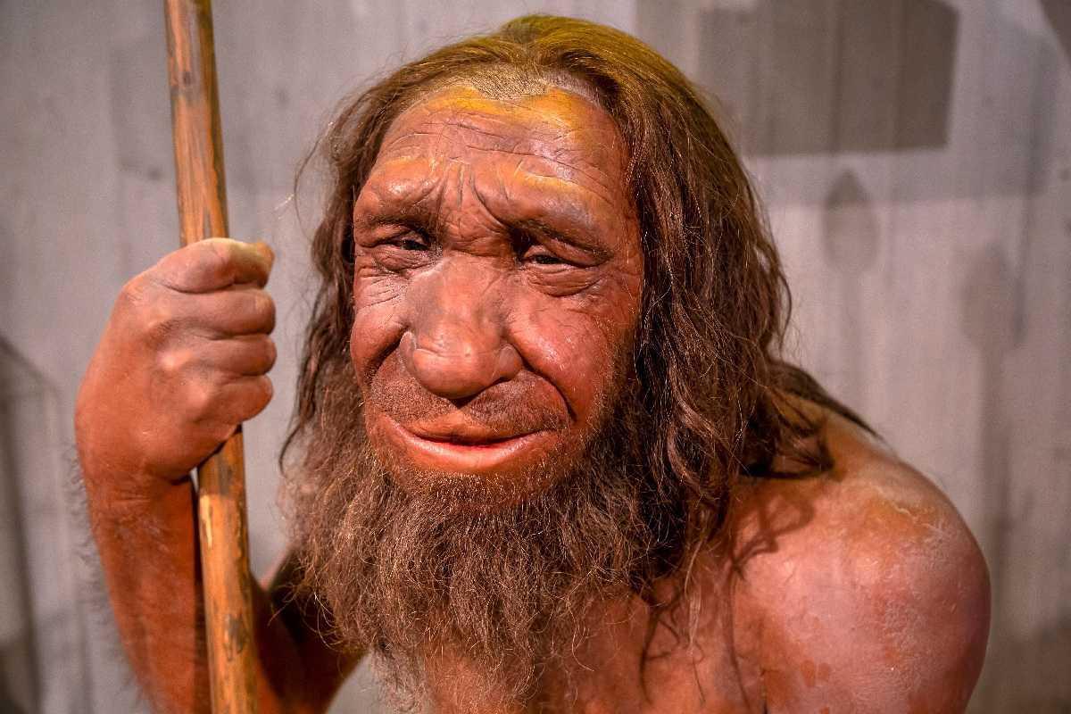 Neanderthal remains identified in Polish cave