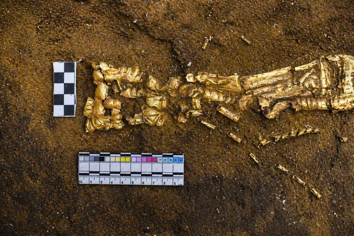 “Golden Man” burial unearthed in Western Kazakhstan “Golden Man” burial unearthed in Western Kazakhstan