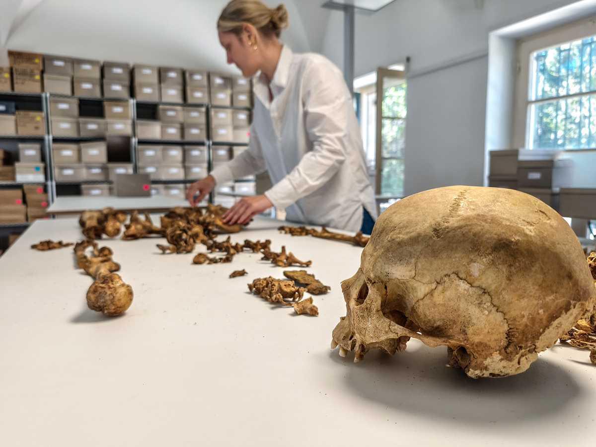 Study challenges established views of life after fall of Western Roman Empire