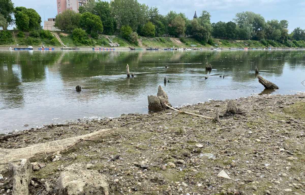 Medieval bridges emerging from Hungary’s Tisza River at risk