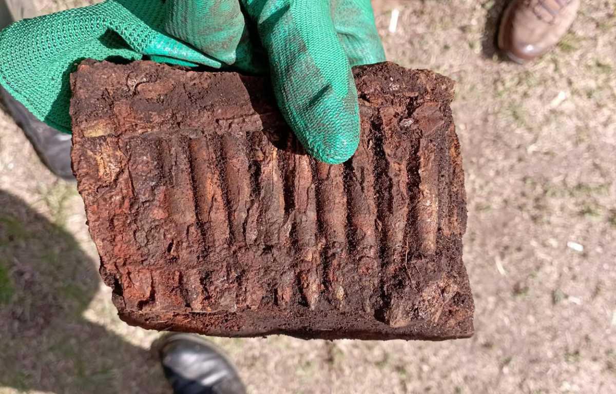 Researchers uncover new traces of the 1939 Battle of the Bzura