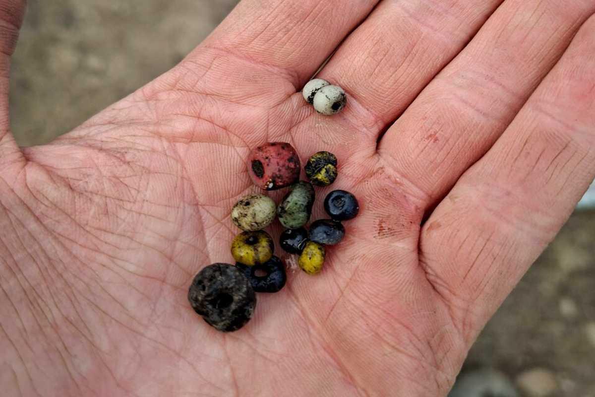 Beads and burnt bones unearthed at major Iron Age burial site in Sweden