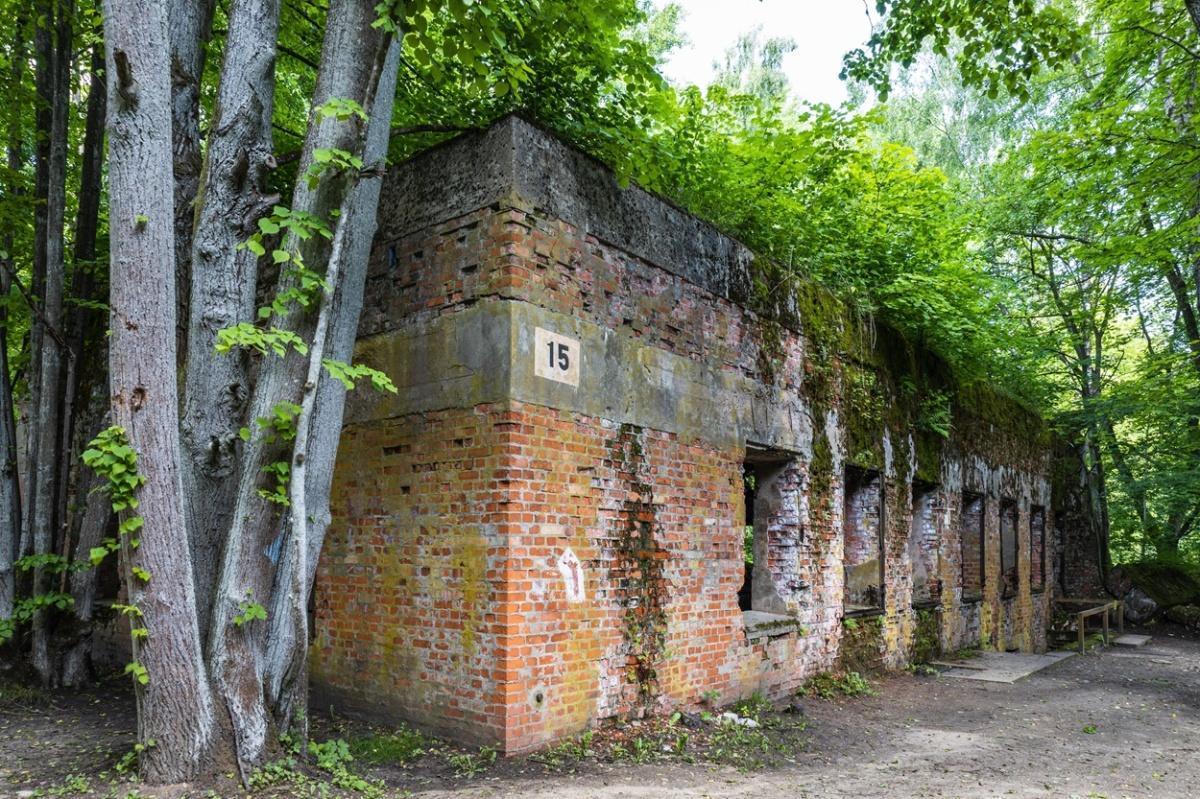 Archaeologists return to unravel the mystery of Göring's House in Wolf's Lair area Archaeologists return to unravel the mystery of Göring's House in Wolf's Lair area