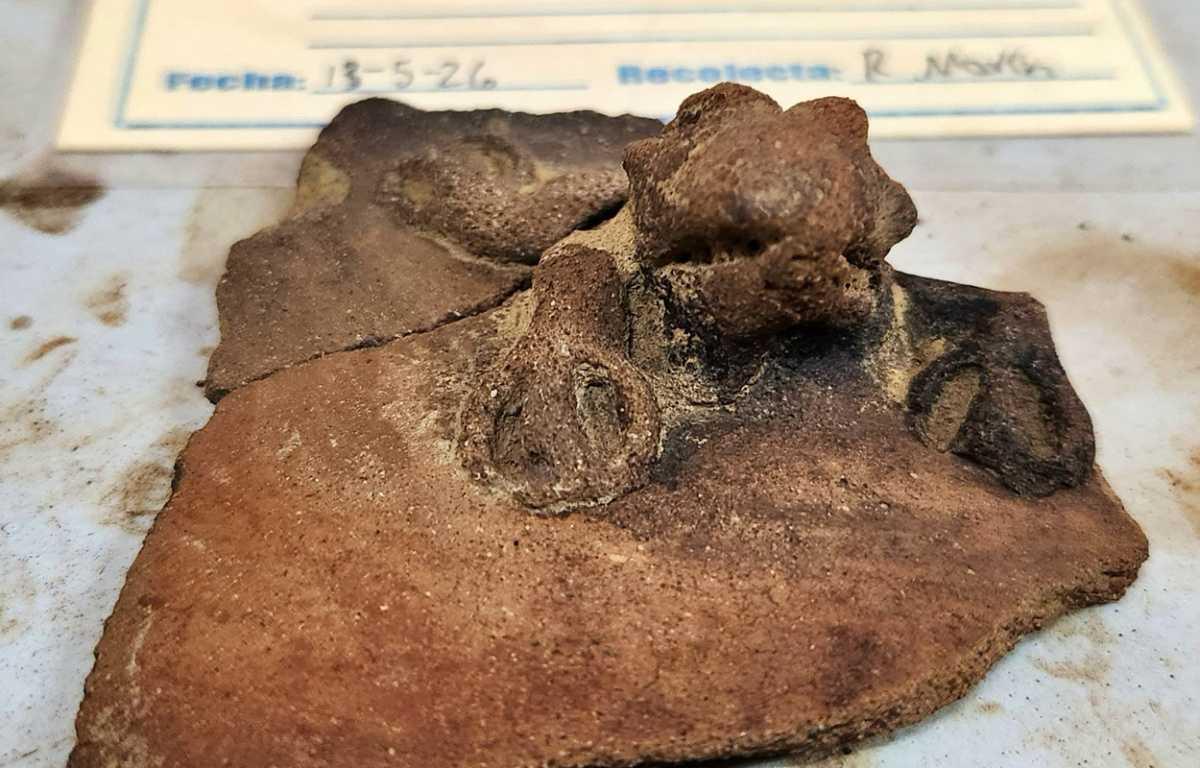 Archaeological rescue uncovers daily life of Costa Rica's stone sphere builders