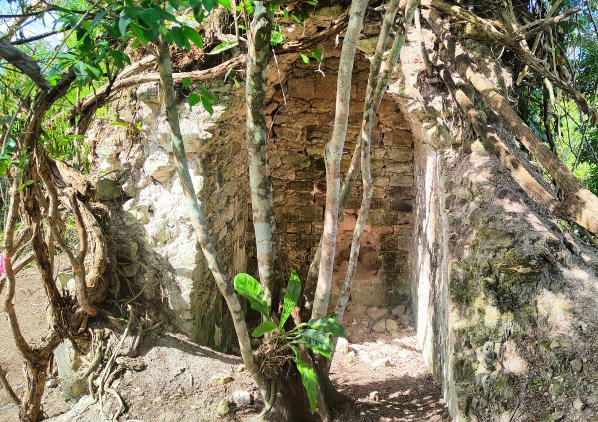 Maya elite residence decorated with images of god K’awiil identified in Mexico Maya elite residence decorated with images of god K’awiil identified in Mexico