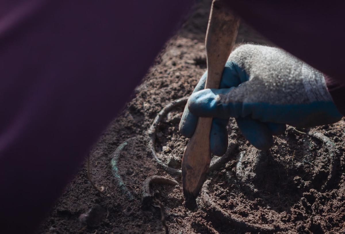 Archaeologists uncover extensive Bronze Age settlement on Hungary’s Somló Hill Archaeologists uncover extensive Bronze Age settlement on Hungary’s Somló Hill