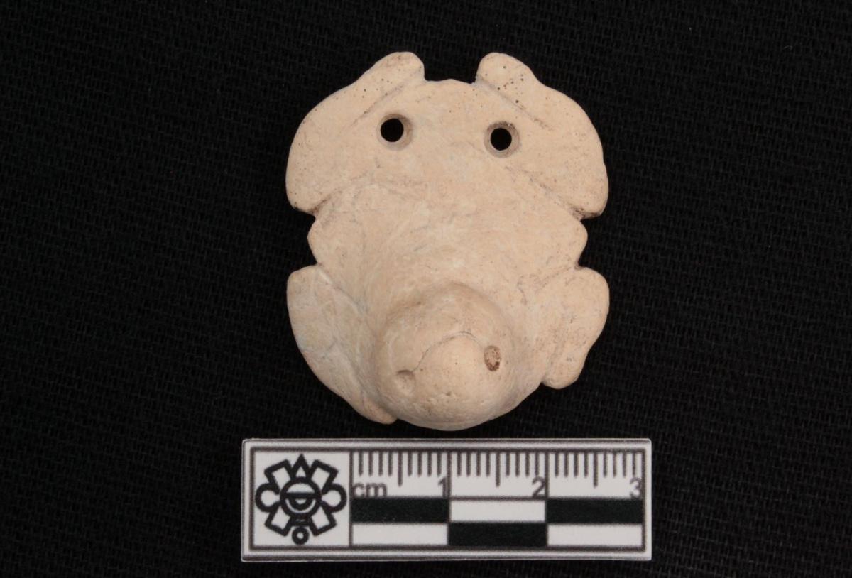 Pre-Hispanic frog pendants shed light on ancient Maya trade networks Pre-Hispanic frog pendants shed light on ancient Maya trade networks