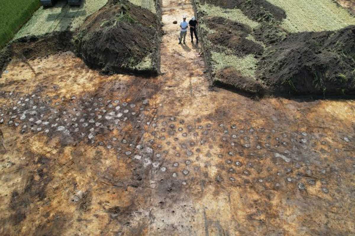 2,500-year-old defensive barrier reveals evidence of unknown conflicts in Denmark 2,500-year-old defensive barrier reveals evidence of unknown conflicts in Denmark