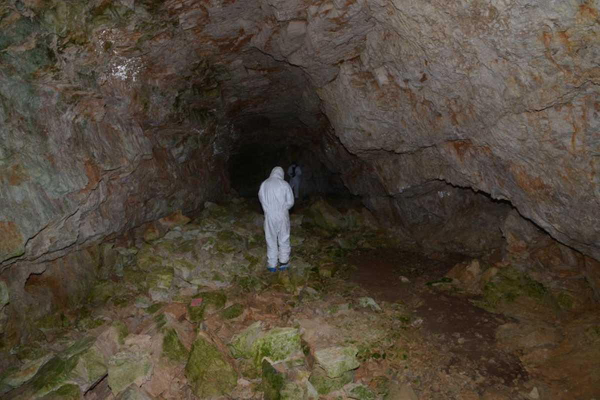 Prehistoric cave bear site secured in the Italian Dolomites