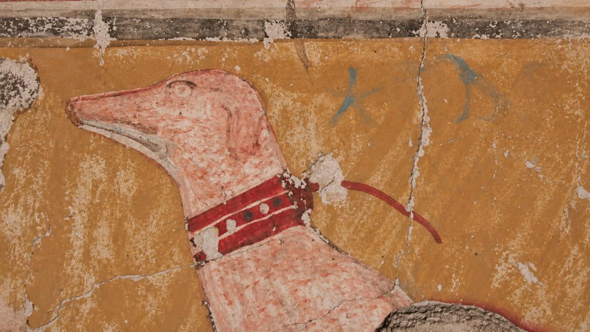 3,500-year-old Egyptian tomb reveals name of dog forgotten for centuries