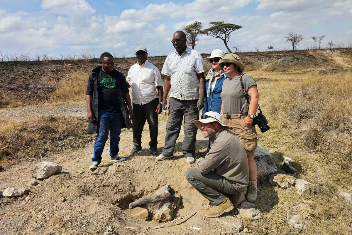 Neolithic burials and possible unknown giraffe species discovered in Tanzania’s Serengeti Neolithic burials and possible unknown giraffe species discovered in Tanzania’s Serengeti