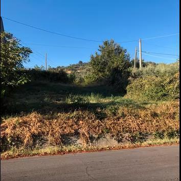 Terreno edificabile + Giardino Terreno edificabile + Giardino