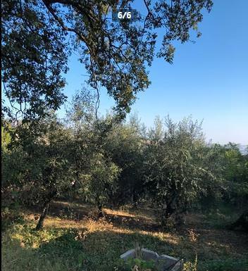 Terreno edificabile + Giardino Terreno edificabile + Giardino