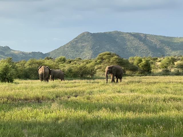 Time for Africa