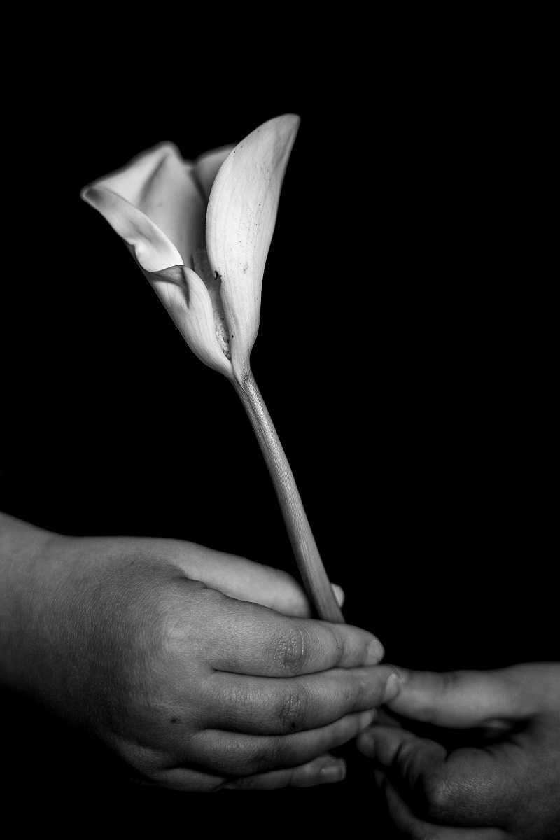 Eventi OnLine // Mostra Fotografica in progress // "Rubrica giocosa sulla storia della fotografia." Gigi Murru Eventi OnLine // Mostra Fotografica in progress // "Rubrica giocosa sulla storia della fotografia." Gigi Murru