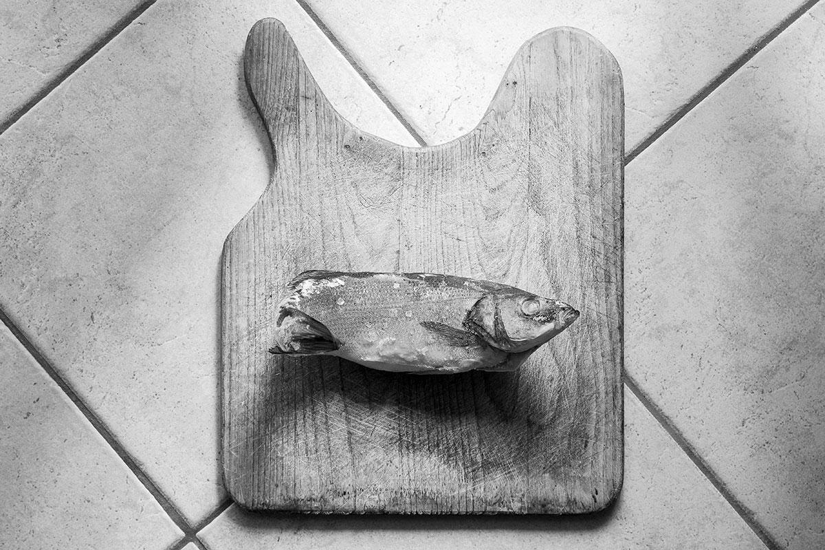 Eventi OnLine // Mostra Fotografica in progress // "Rubrica giocosa sulla storia della fotografia." Gigi Murru Eventi OnLine // Mostra Fotografica in progress // "Rubrica giocosa sulla storia della fotografia." Gigi Murru