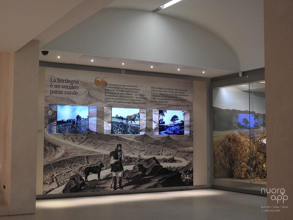 Museo del Costume » Museo Etnografico della Sardegna Museo del Costume » Museo Etnografico della Sardegna