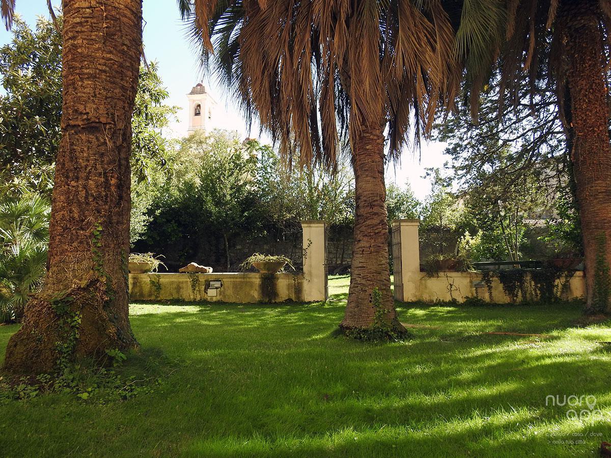 Museo Archeologico Nazionale » Museo "Giorgio Asproni" Museo Archeologico Nazionale » Museo "Giorgio Asproni"