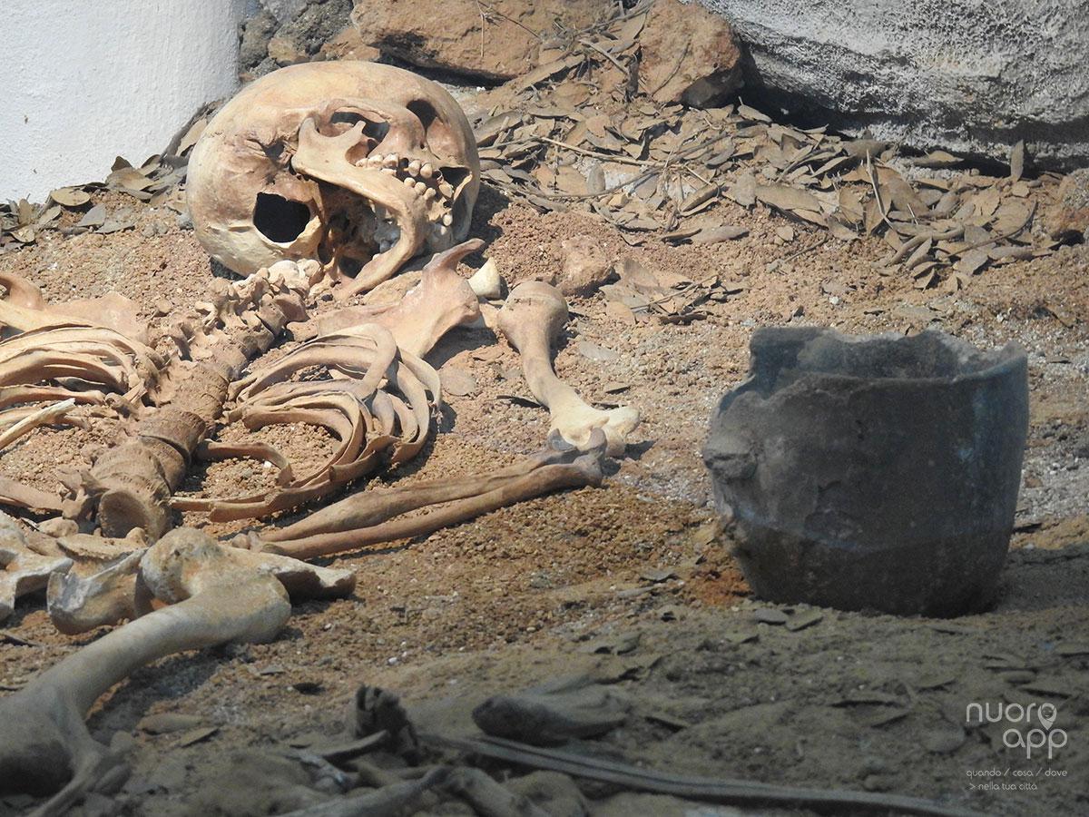 Museo Archeologico Nazionale / Museo "Giorgio Asproni"