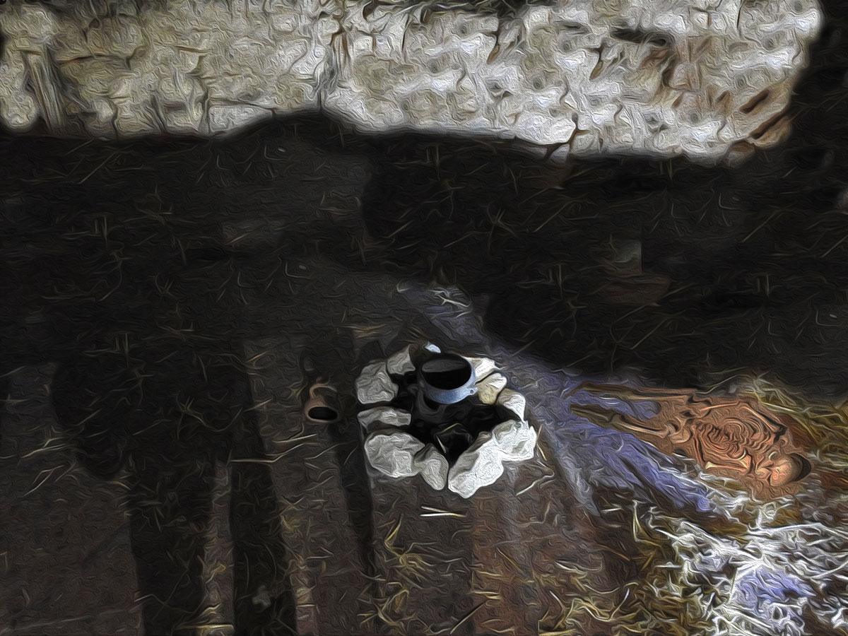 Domina Lunae (La Signora della Luna) - Sisaia Domina Lunae (La Signora della Luna) - Sisaia