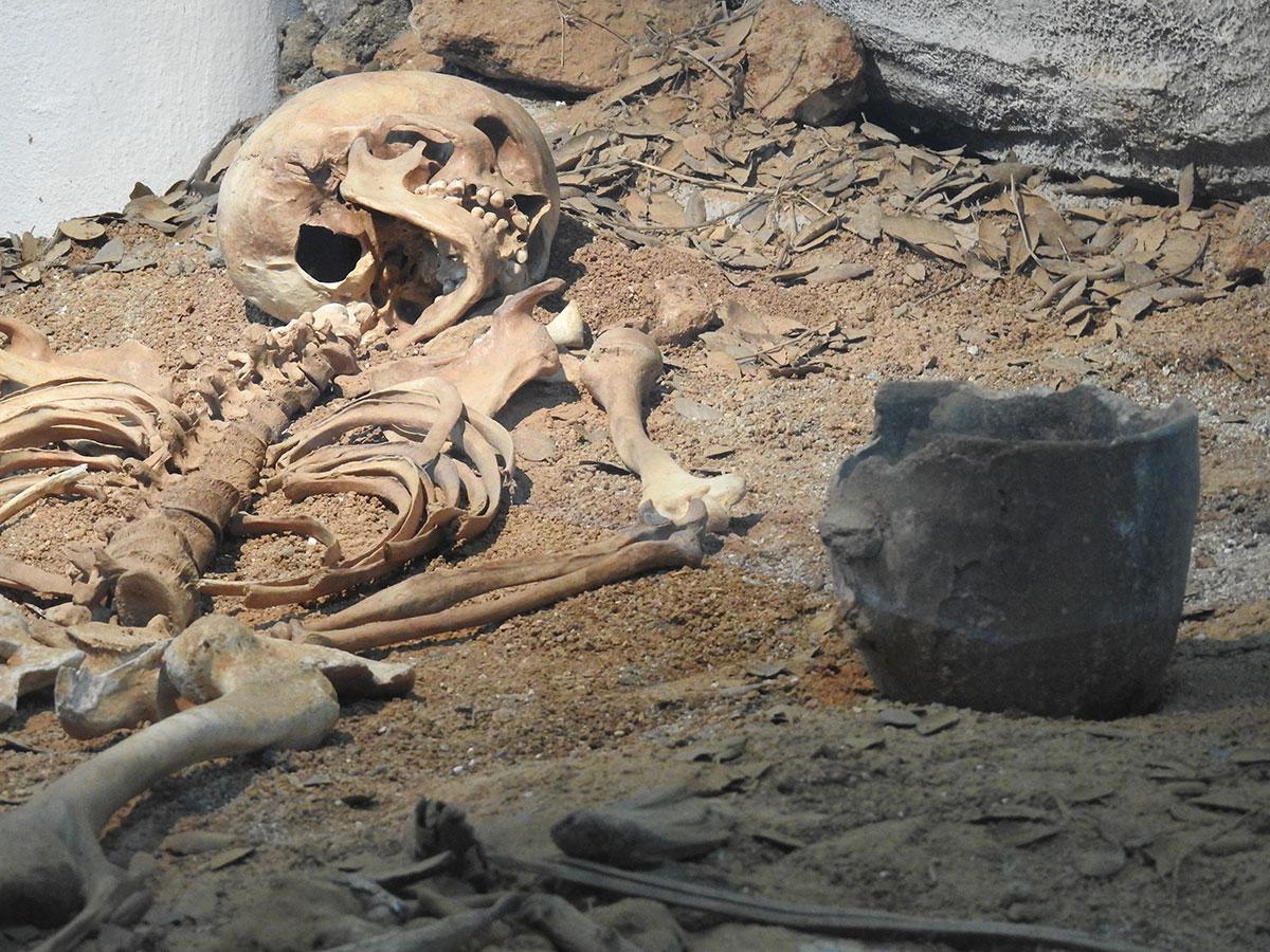 Museo archeologico nazionale // "Al Museo per conoscere Sisaia"