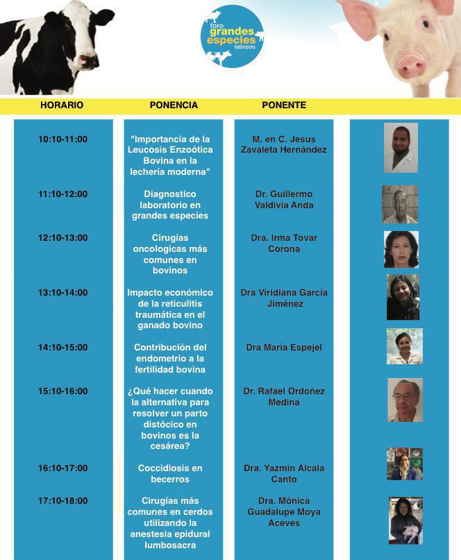 Foro Grandes Especies 20 de Julio