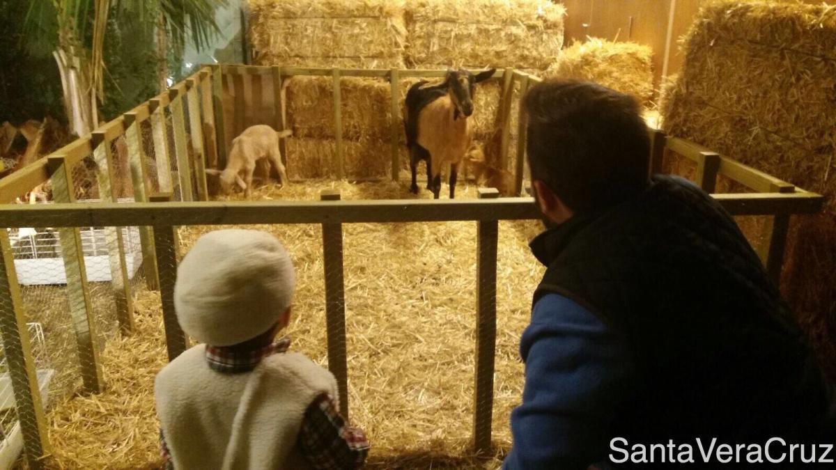 Excursión Navideña del Grupo Joven Excursión Navideña del Grupo Joven