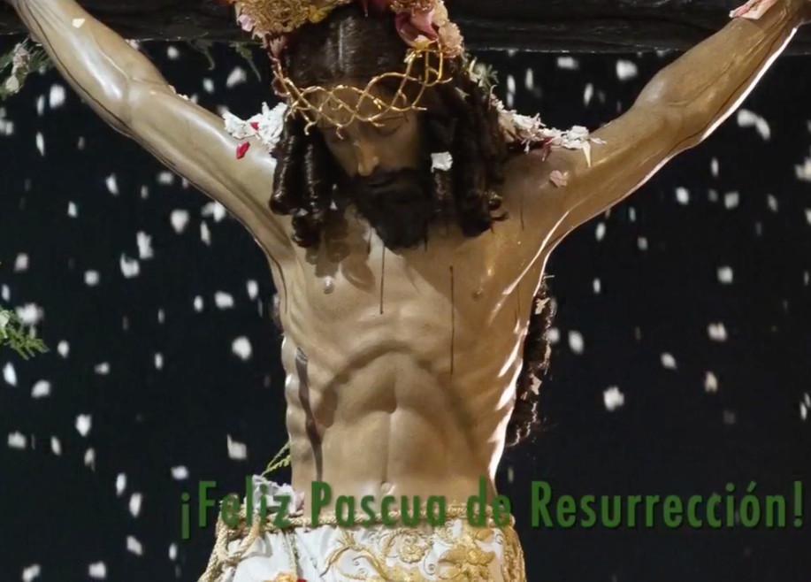 Domingo de Resurrección. Aleluya, Cristo está vivo, ha resucitado. 